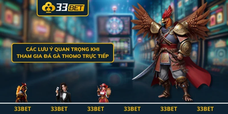 Các lưu ý quan trọng khi tham gia đá gà Thomo trực tiếp