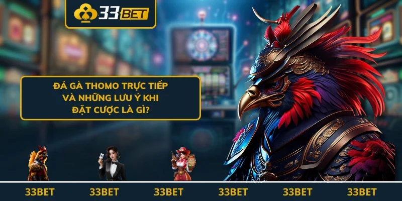 Đá gà Thomo trực tiếp là gì?